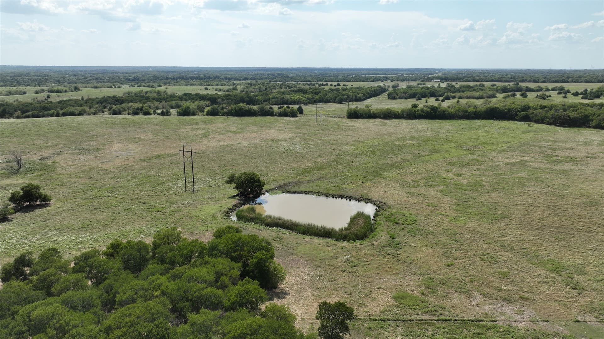49.54 acres in Fannin County - photo 4