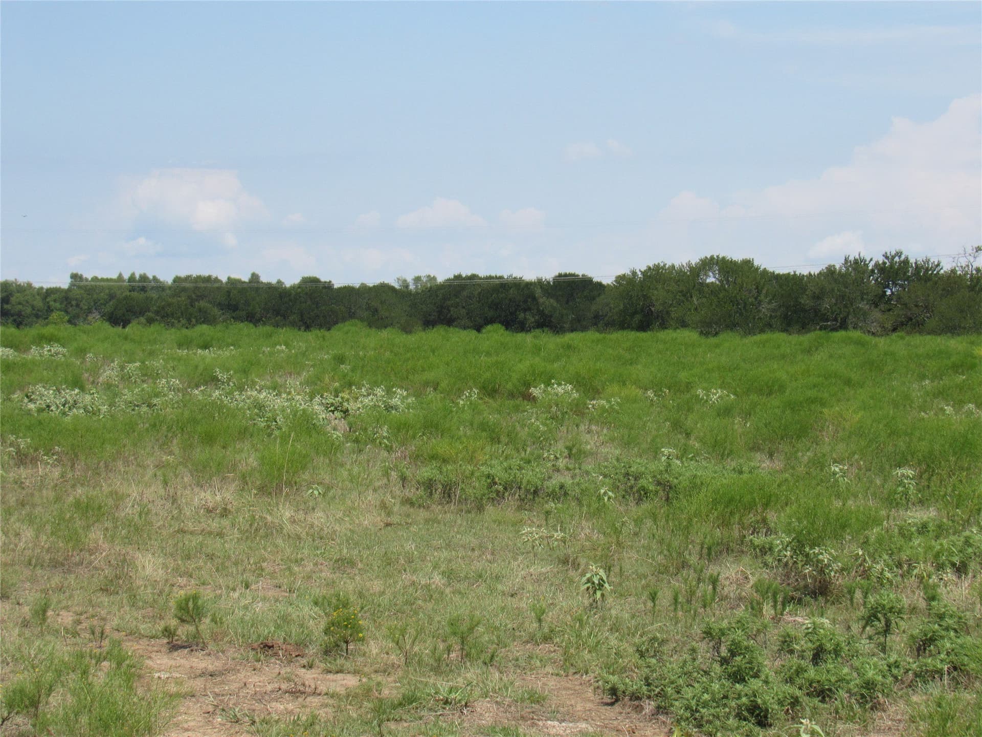 49.54 acres in Fannin County - photo 21