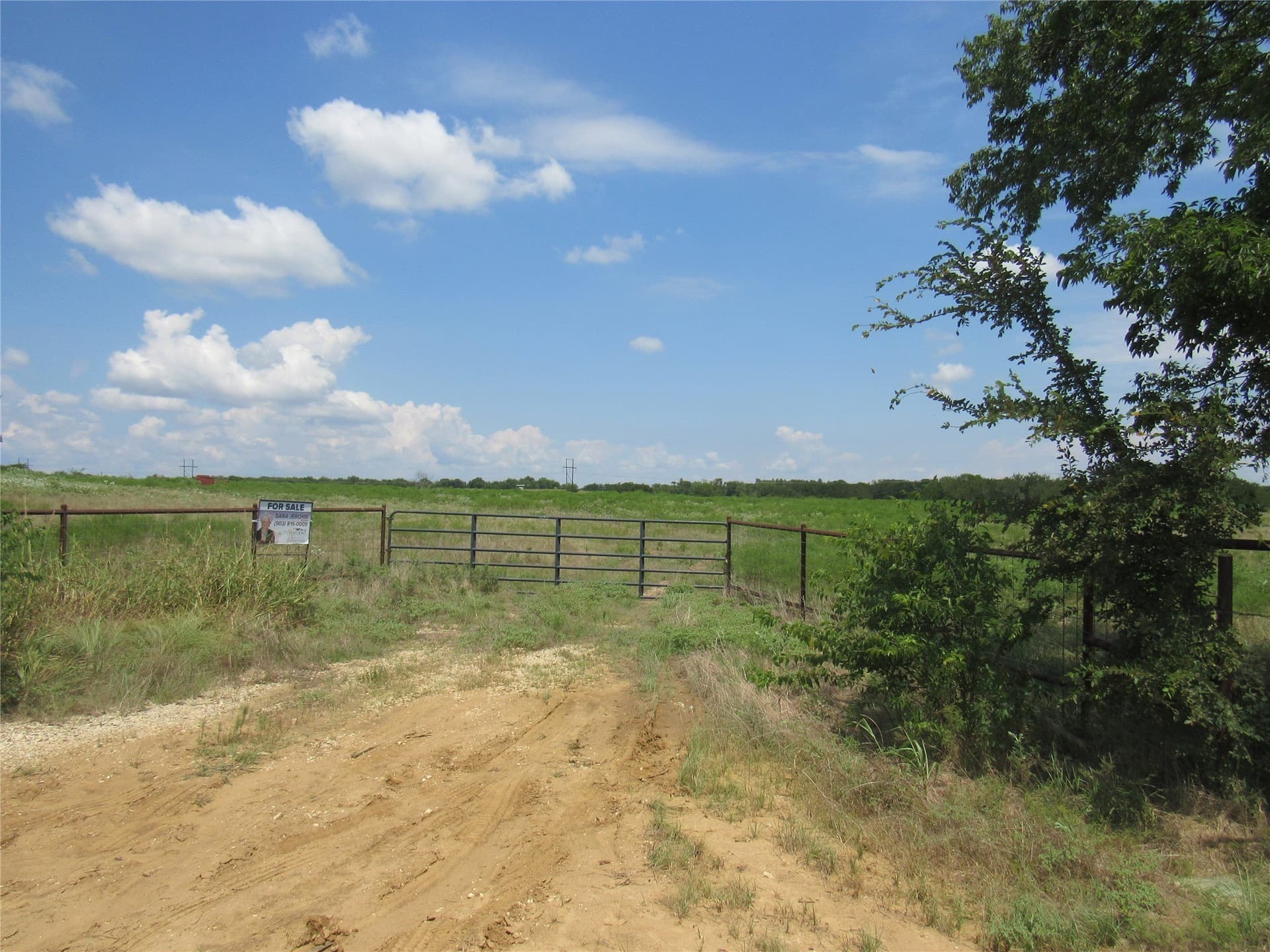 49.54 acres in Fannin County - photo 5