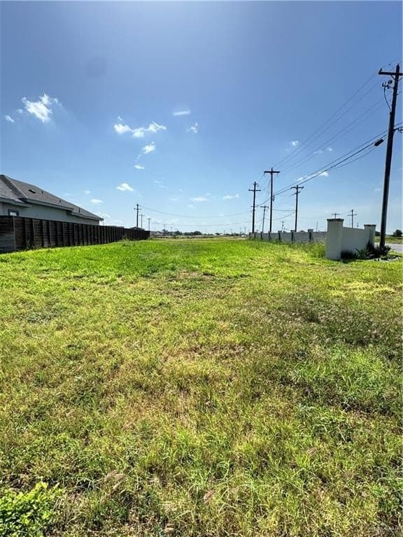 0.25 acres in Hidalgo County - photo 7