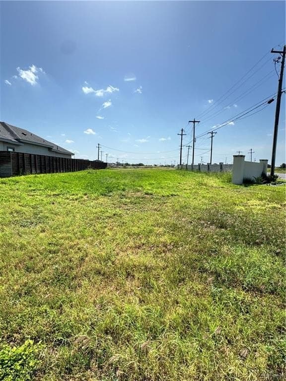 0.25 acres in Hidalgo County - photo 8