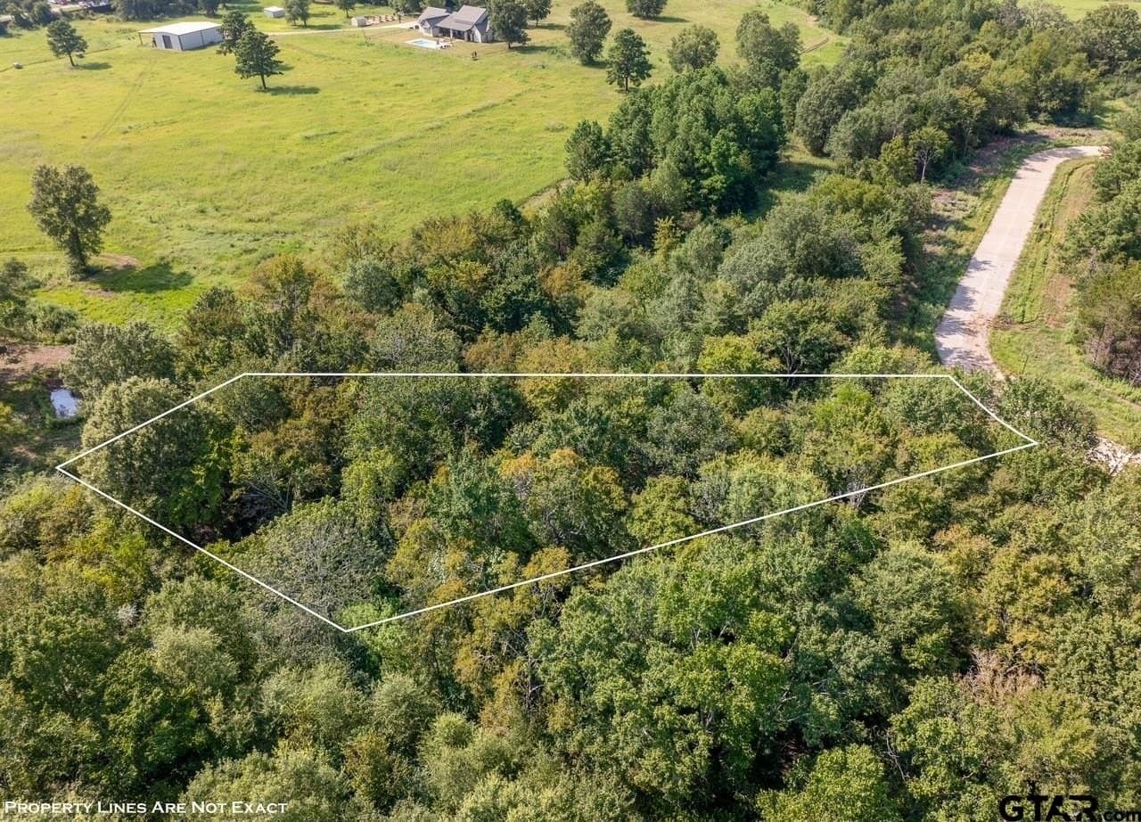 0.64 acres in Smith County - photo 11