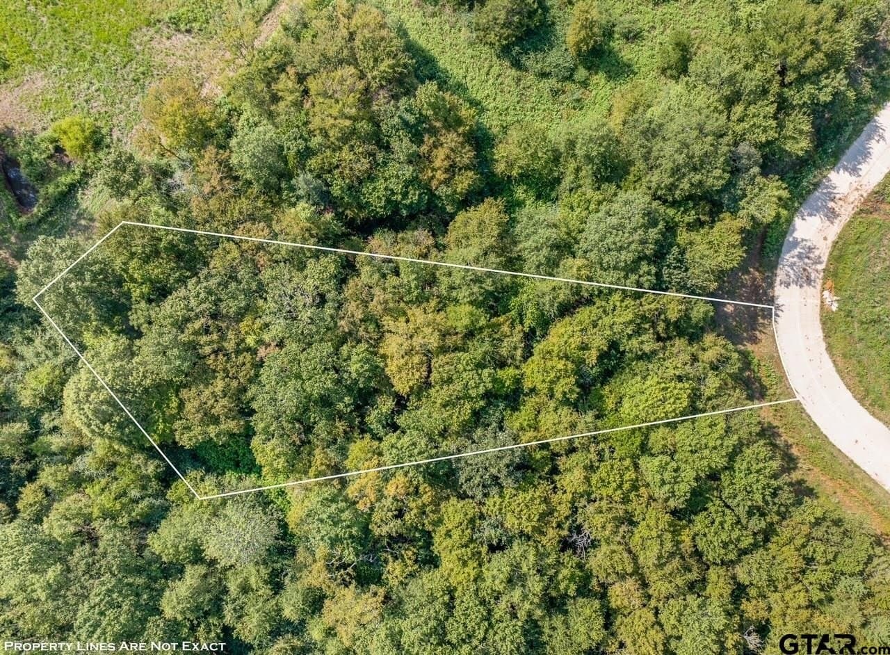 0.64 acres in Smith County - photo 8