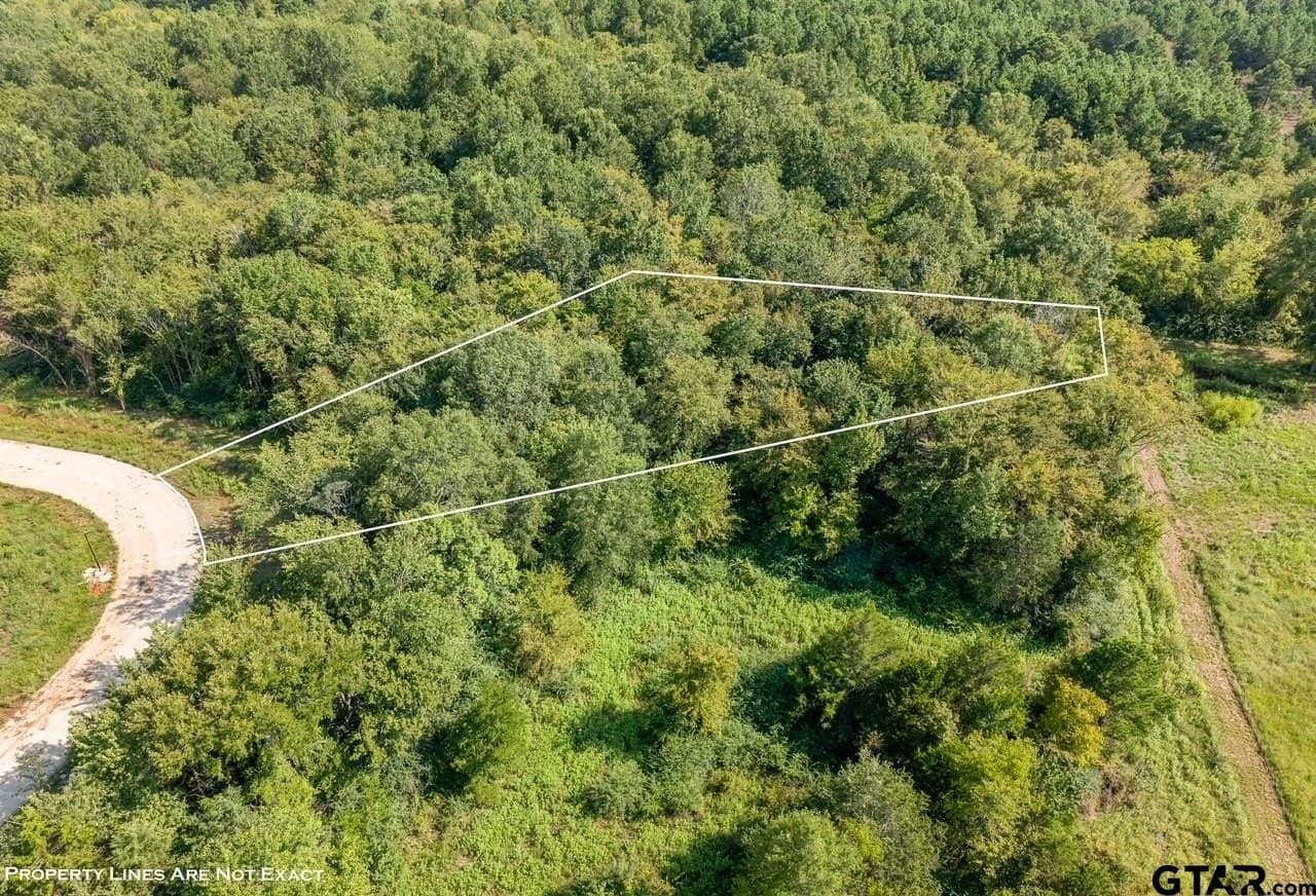 0.64 acres in Smith County - photo 9
