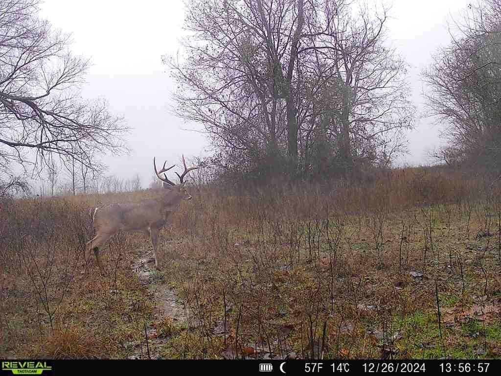 225.11 acres in Lamar County - photo 36