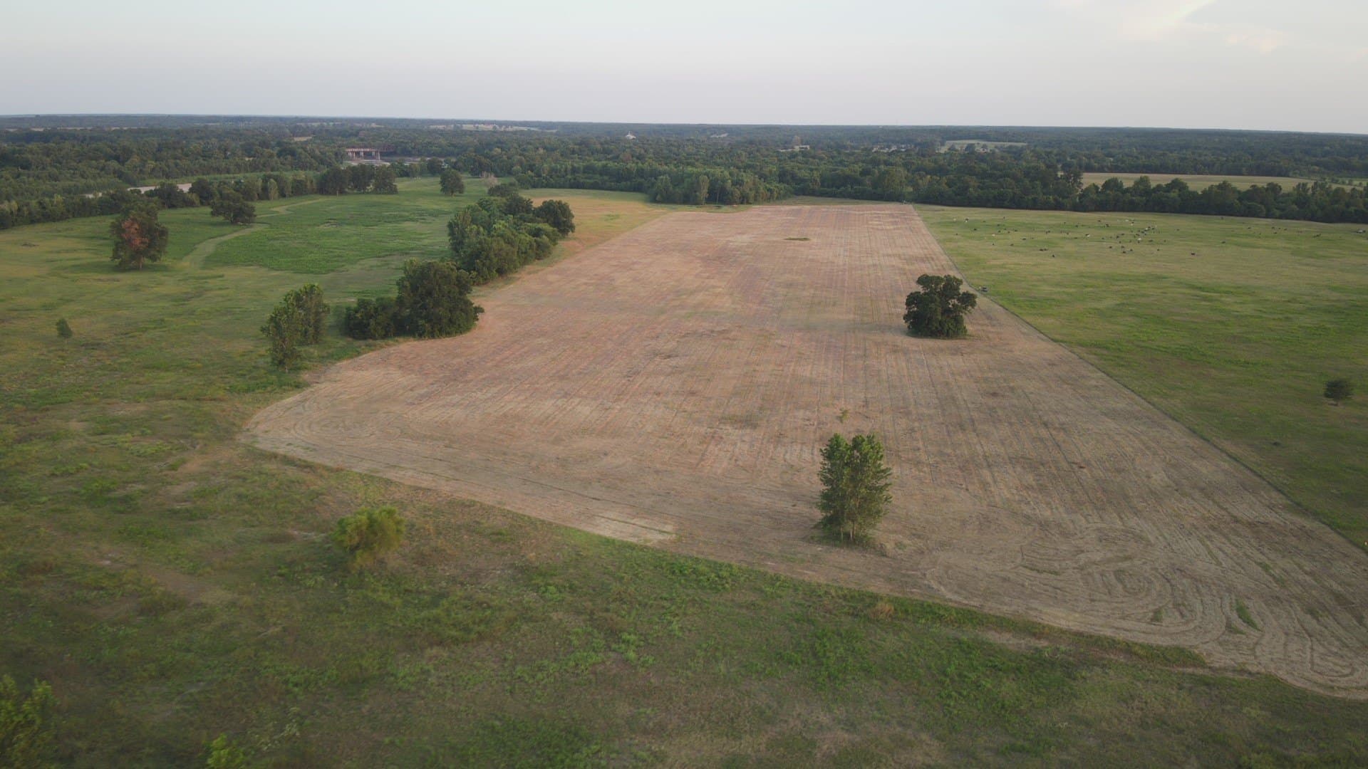 225.11 acres in Lamar County - photo 38