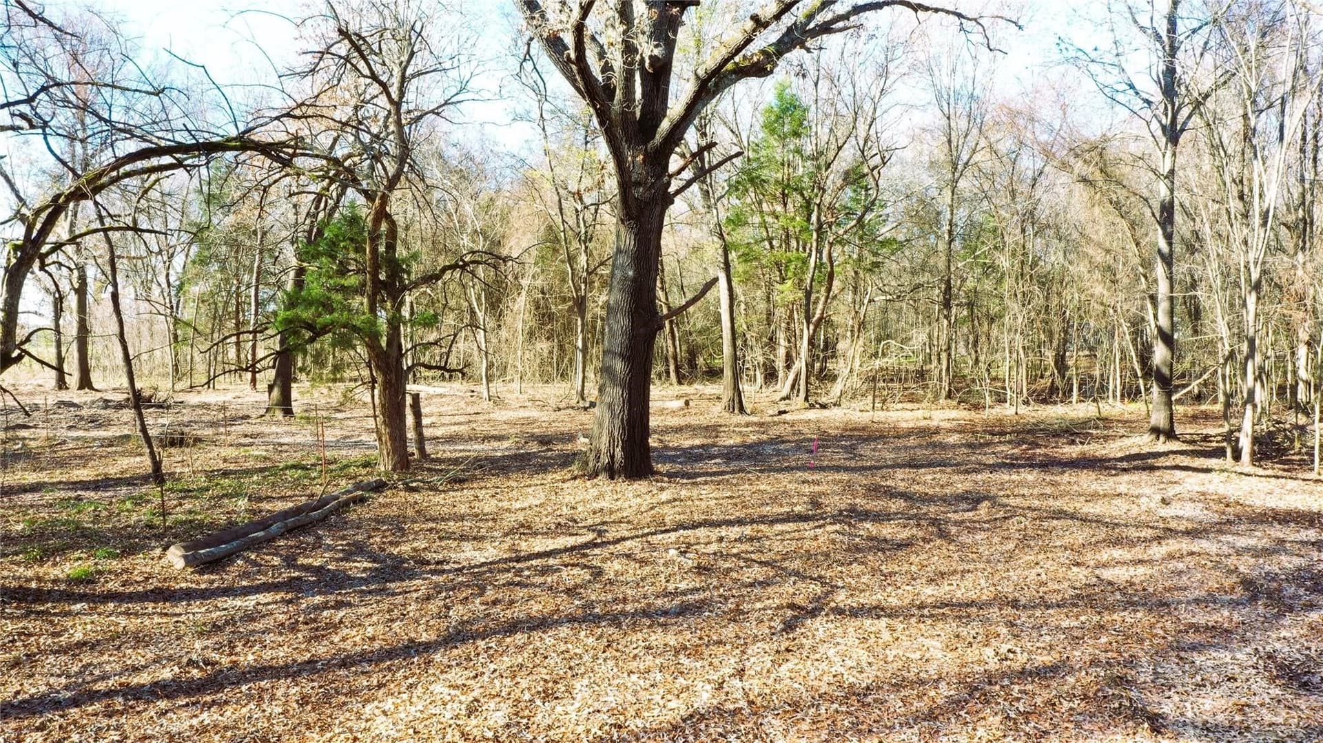 225.11 acres in Lamar County - photo 19