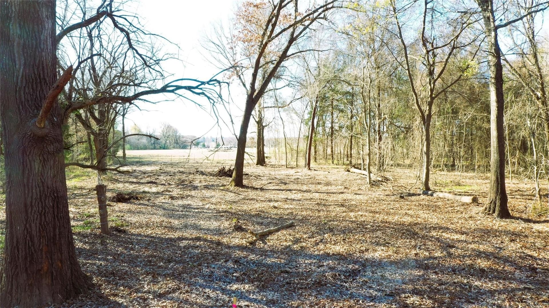 225.11 acres in Lamar County - photo 18