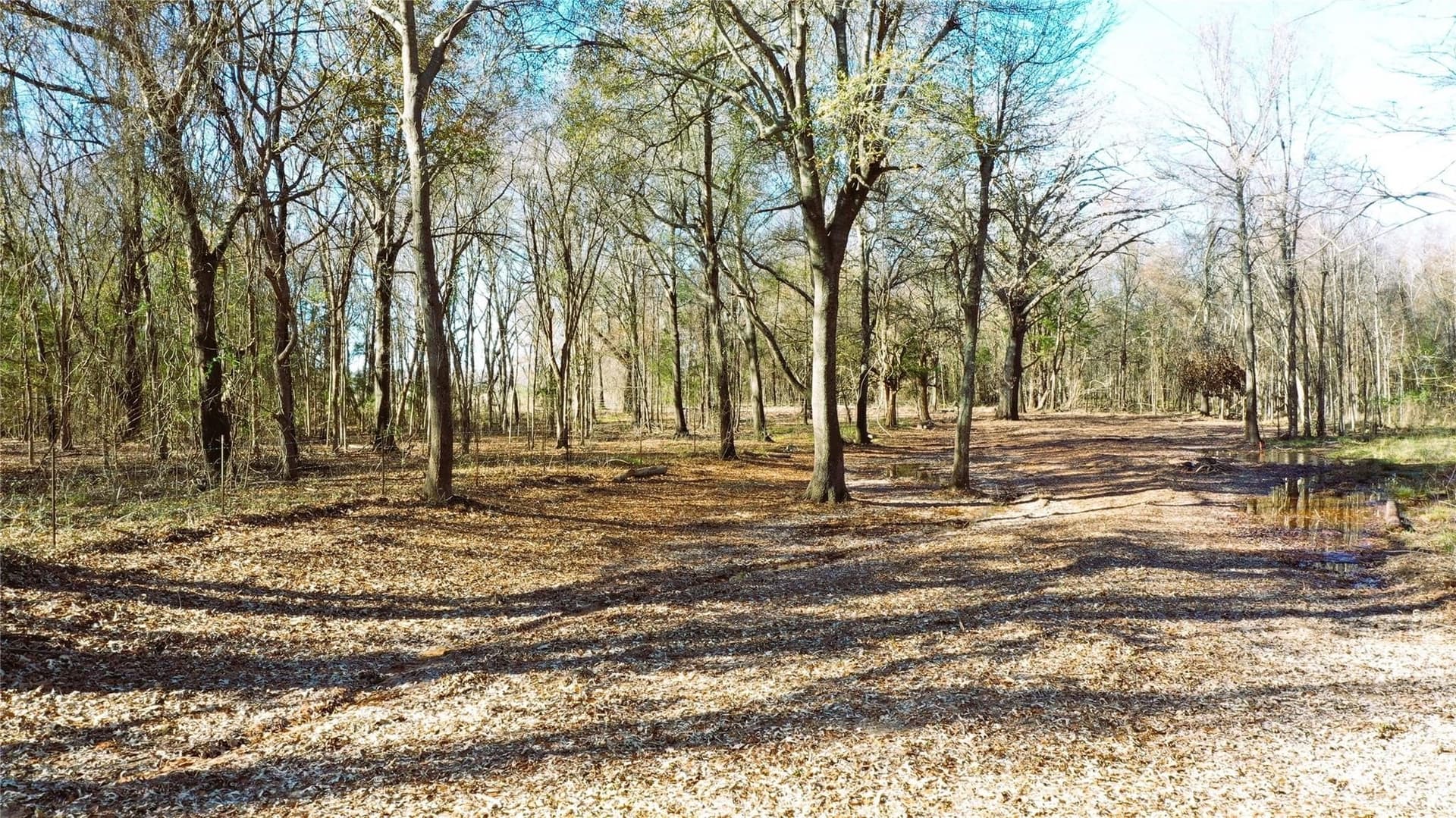 225.11 acres in Lamar County - photo 21