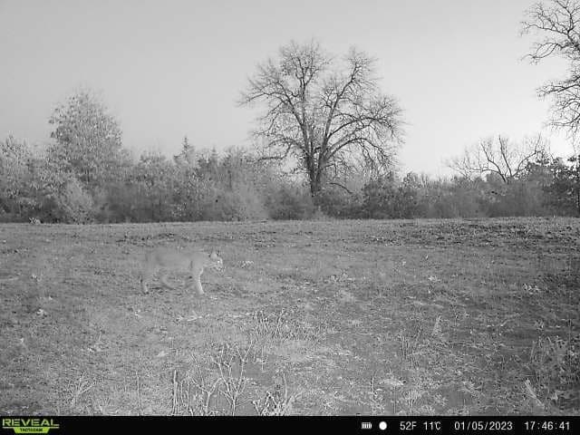 225.11 acres in Lamar County - photo 31