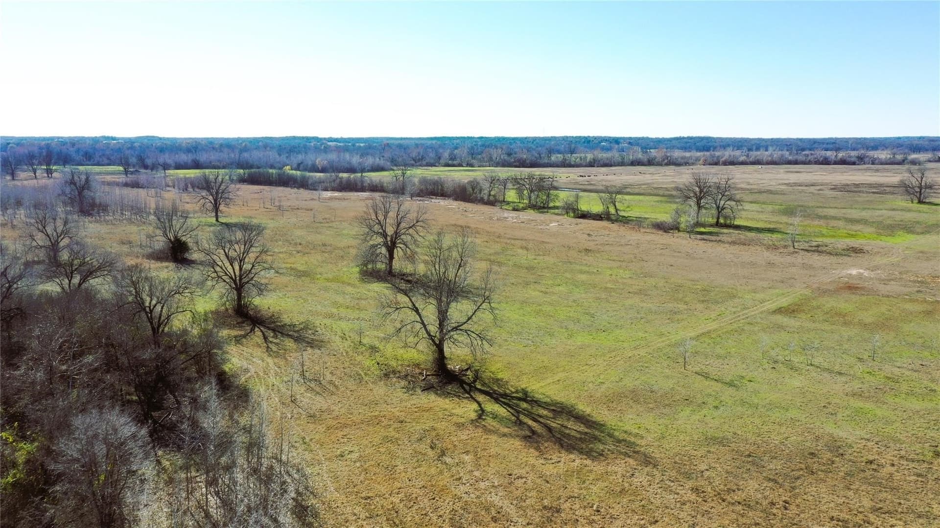 225.11 acres in Lamar County - photo 10