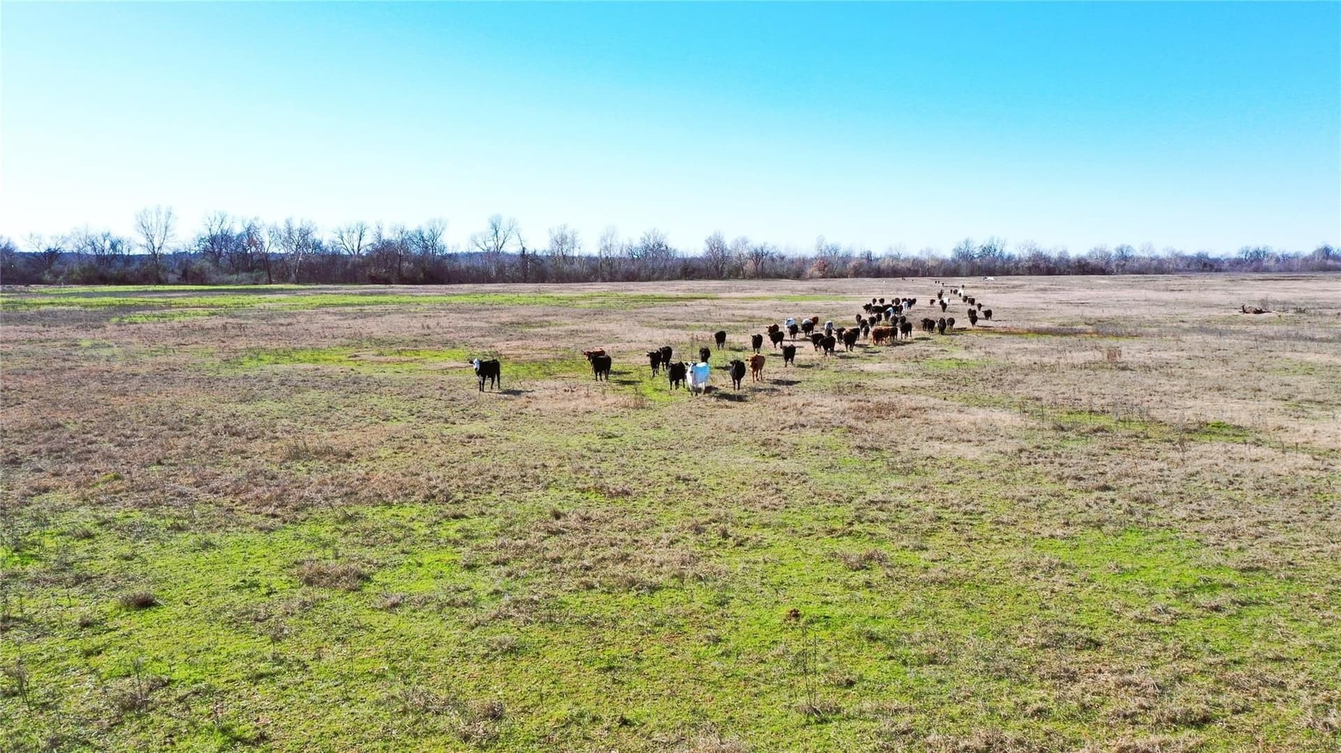 225.11 acres in Lamar County - photo 9