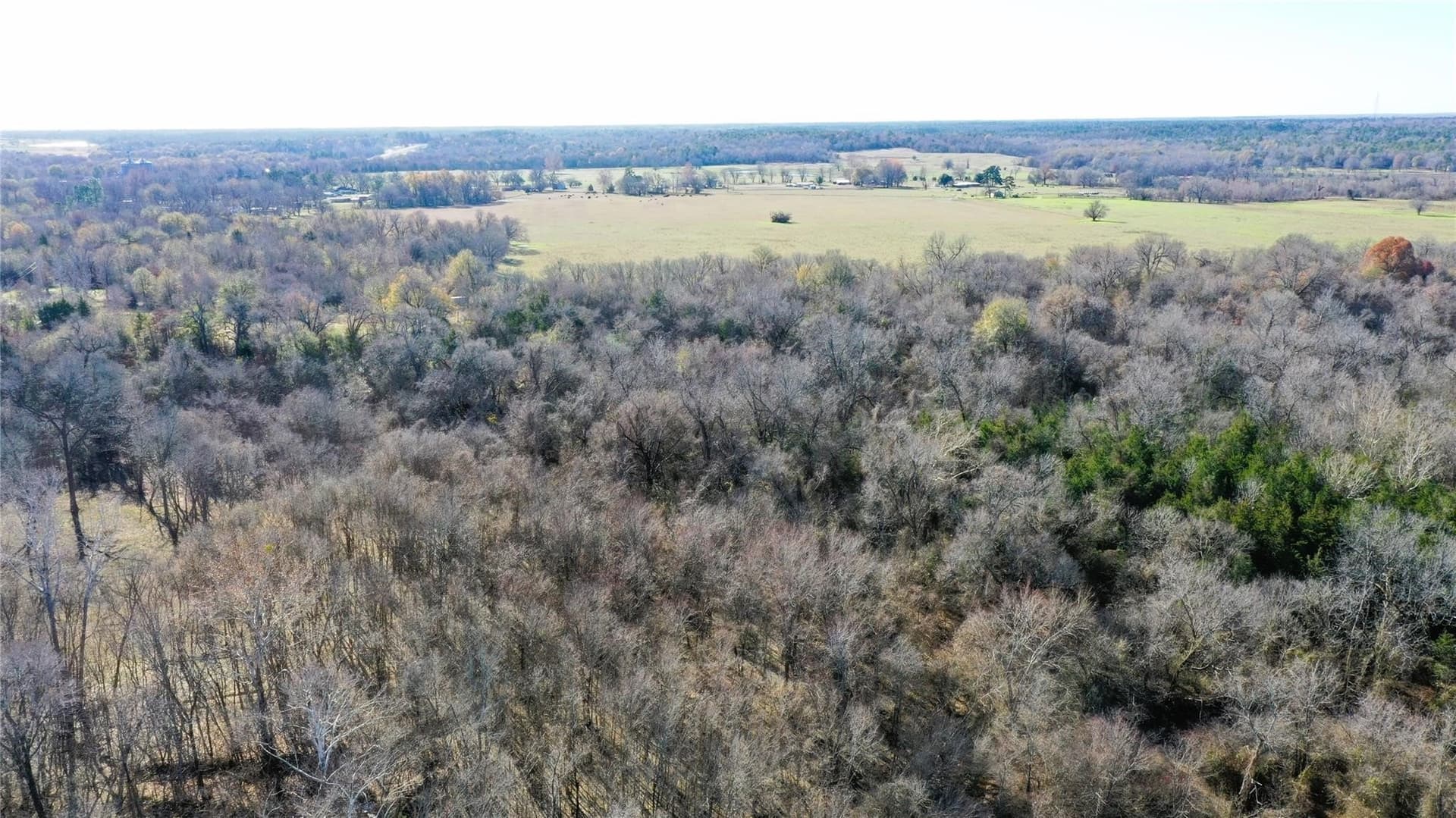 225.11 acres in Lamar County - photo 23