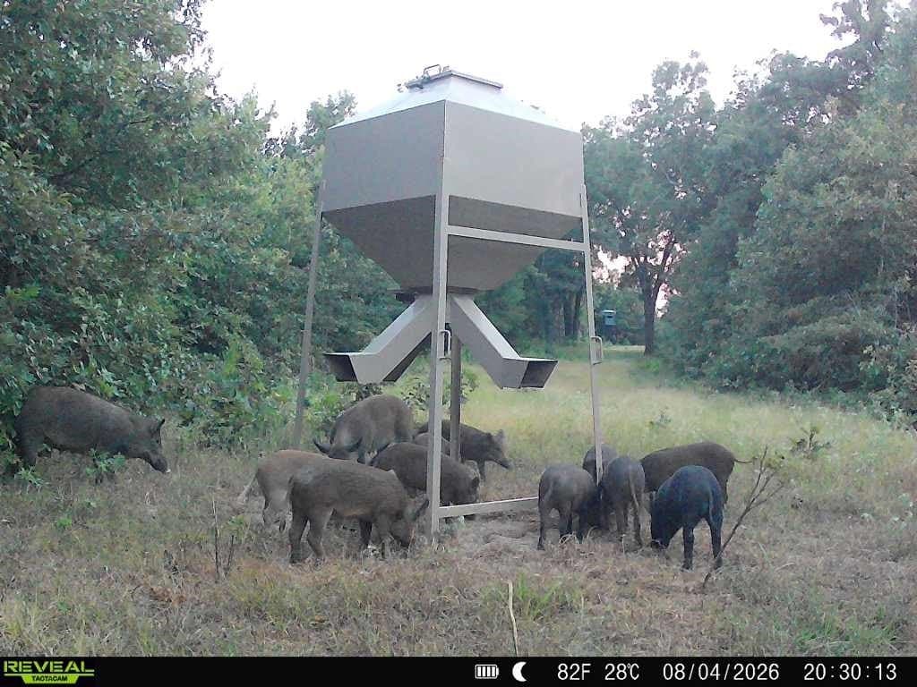 225.11 acres in Lamar County - photo 33