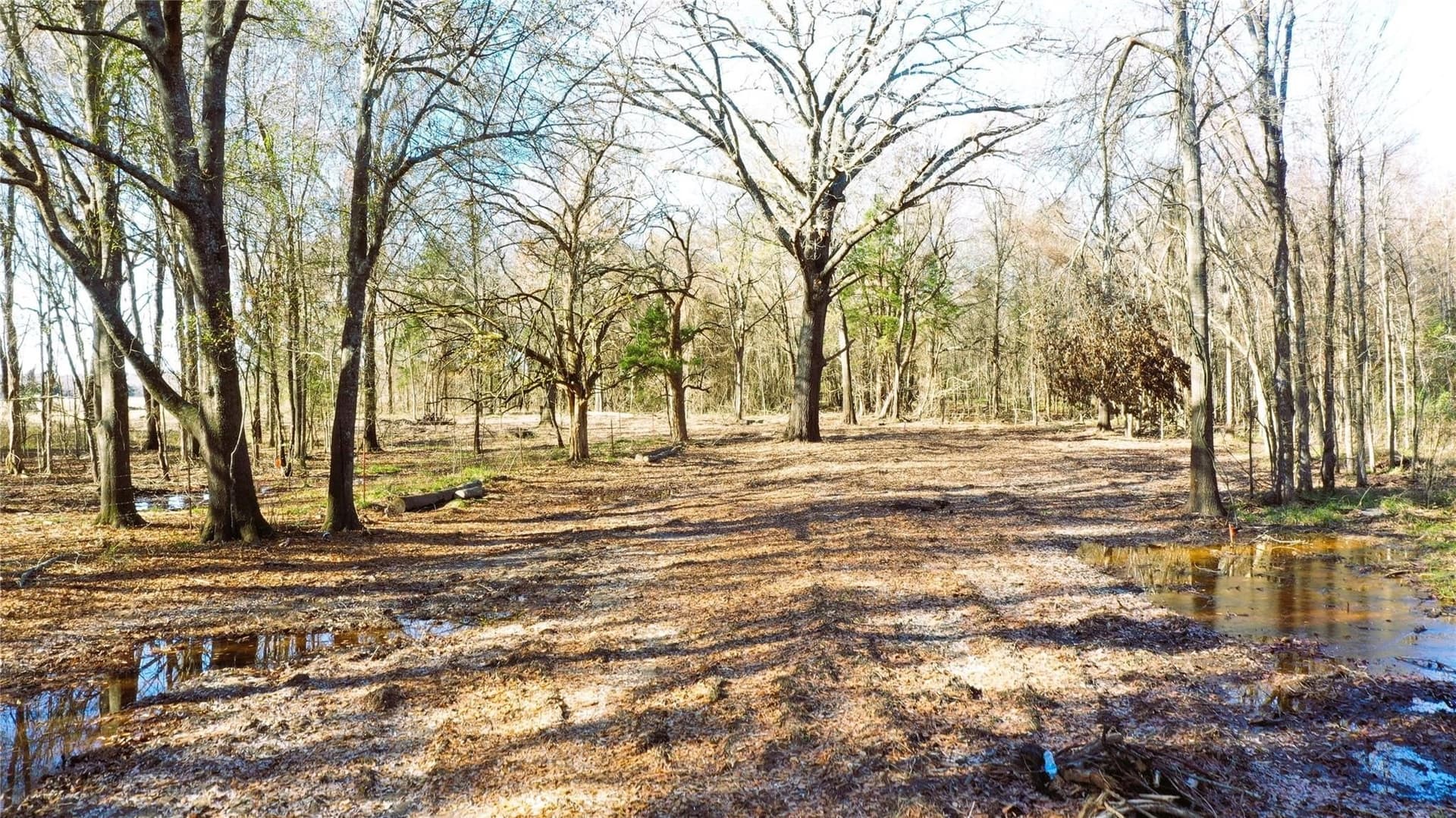 225.11 acres in Lamar County - photo 20