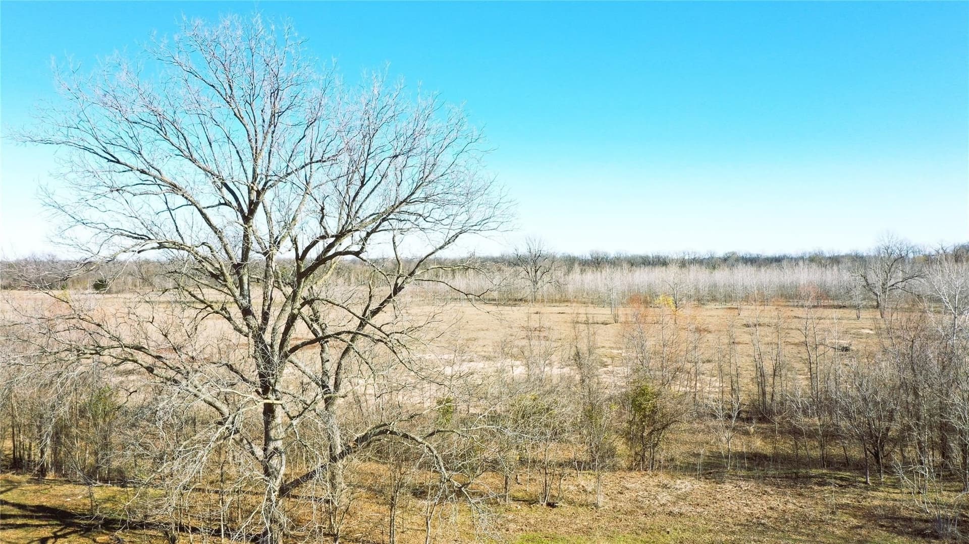 225.11 acres in Lamar County - photo 8