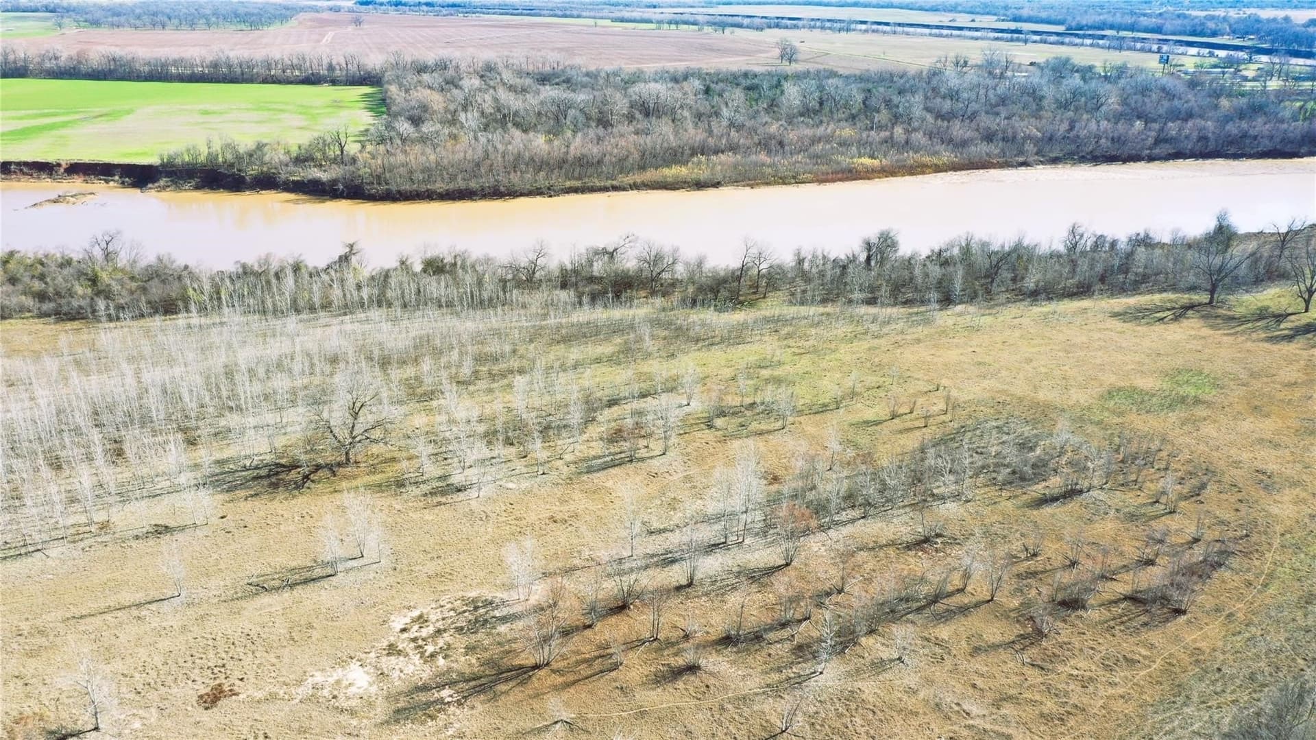 225.11 acres in Lamar County - photo 17