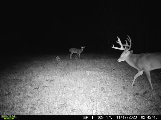 225.11 acres in Lamar County - photo 35