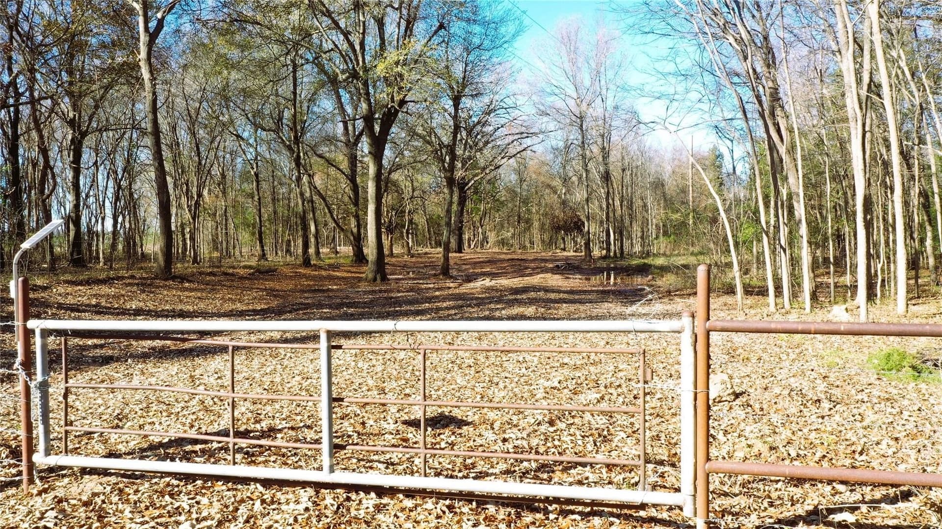 225.11 acres in Lamar County - photo 29