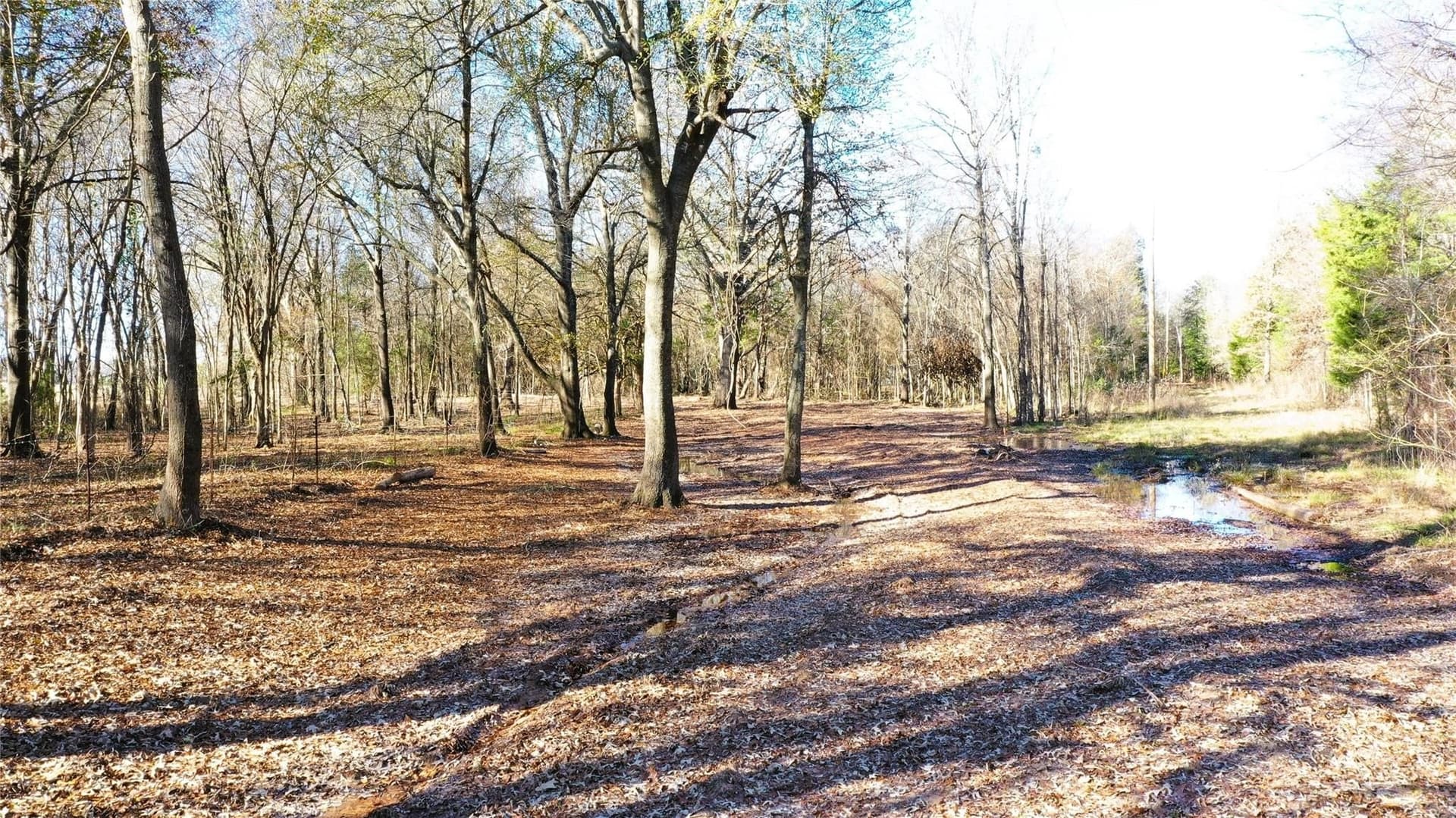 225.11 acres in Lamar County - photo 22