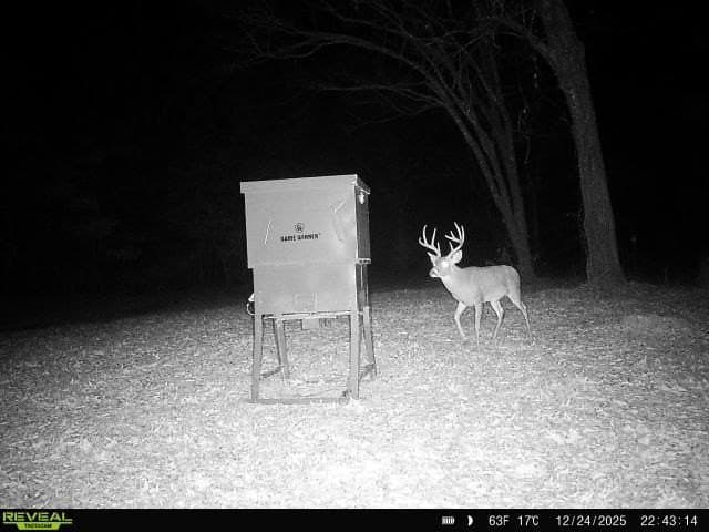 225.11 acres in Lamar County - photo 34