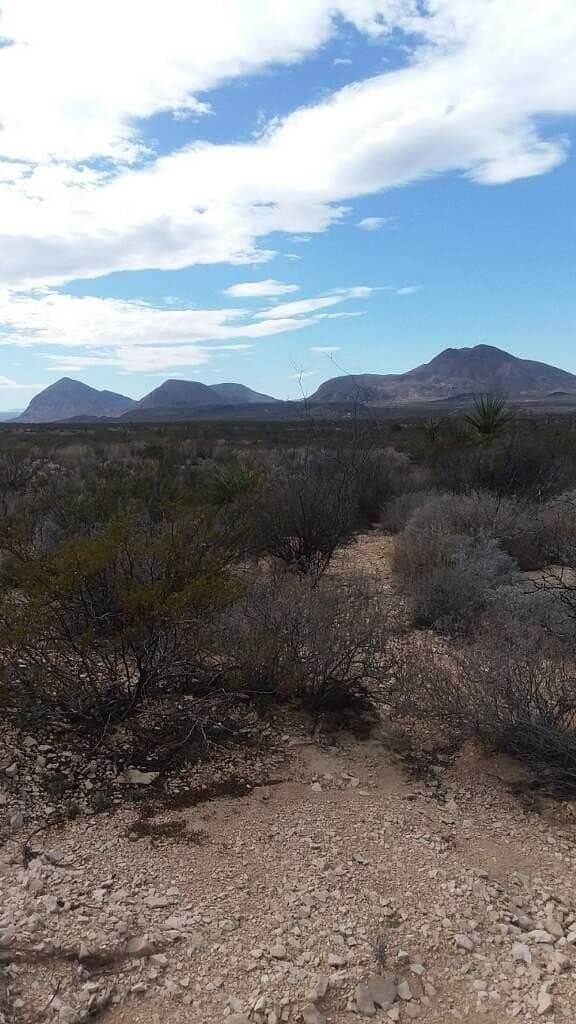 20 acres in Brewster County - photo 41