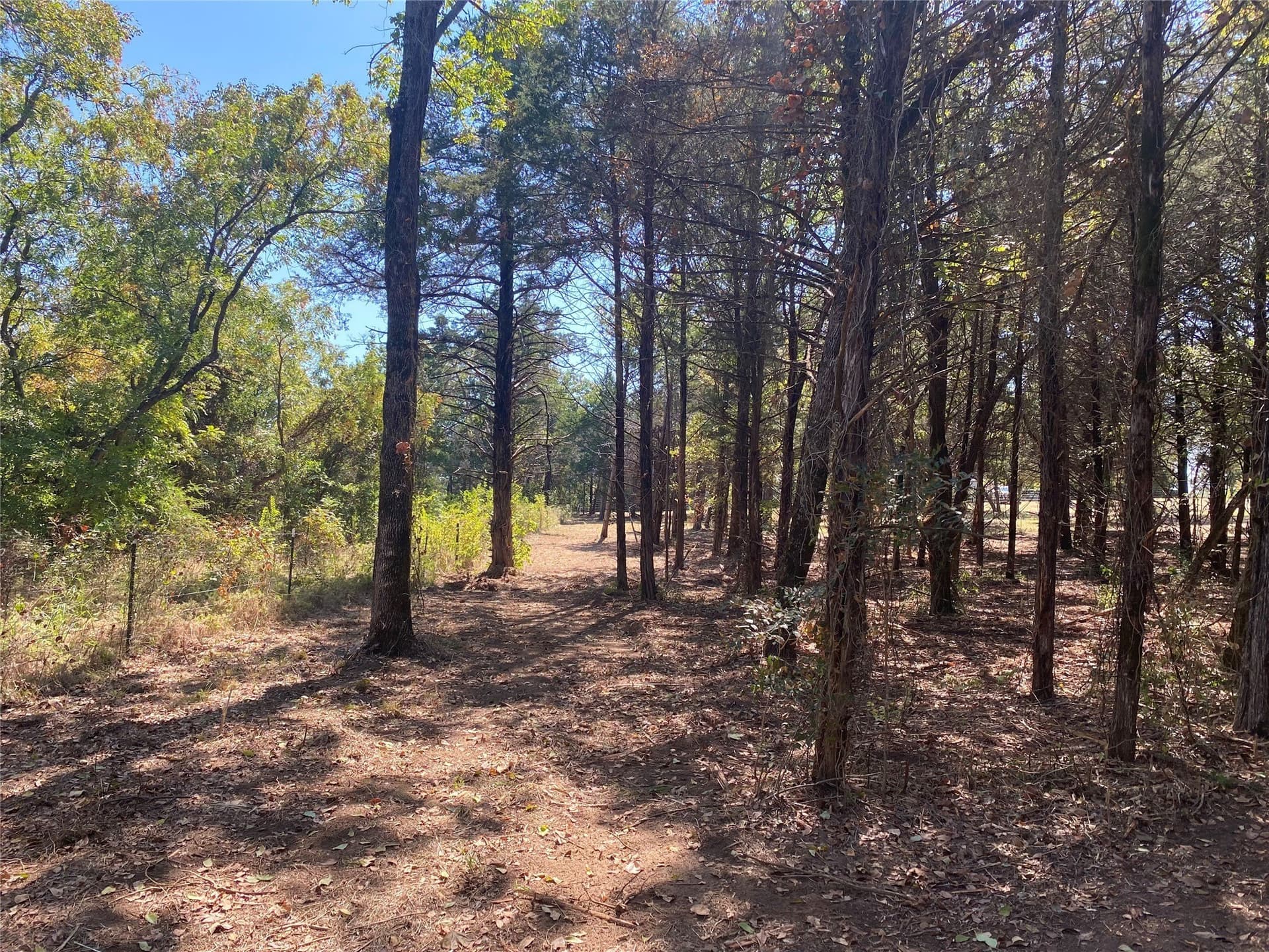 4.05 acres in Grayson County - photo 13