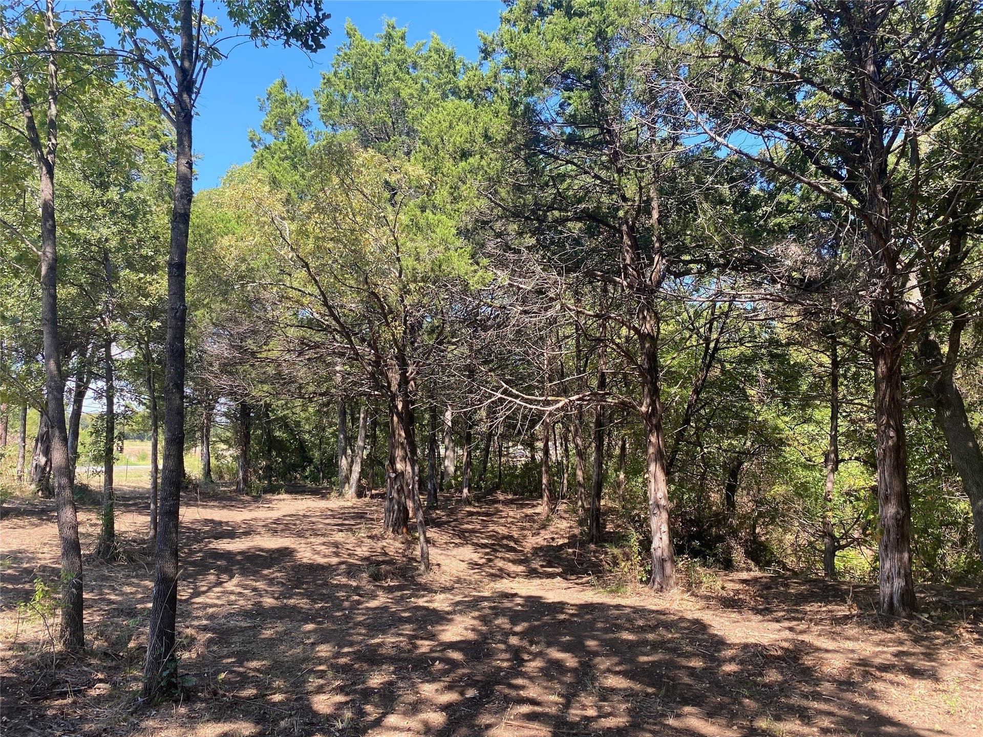 4.05 acres in Grayson County - photo 15