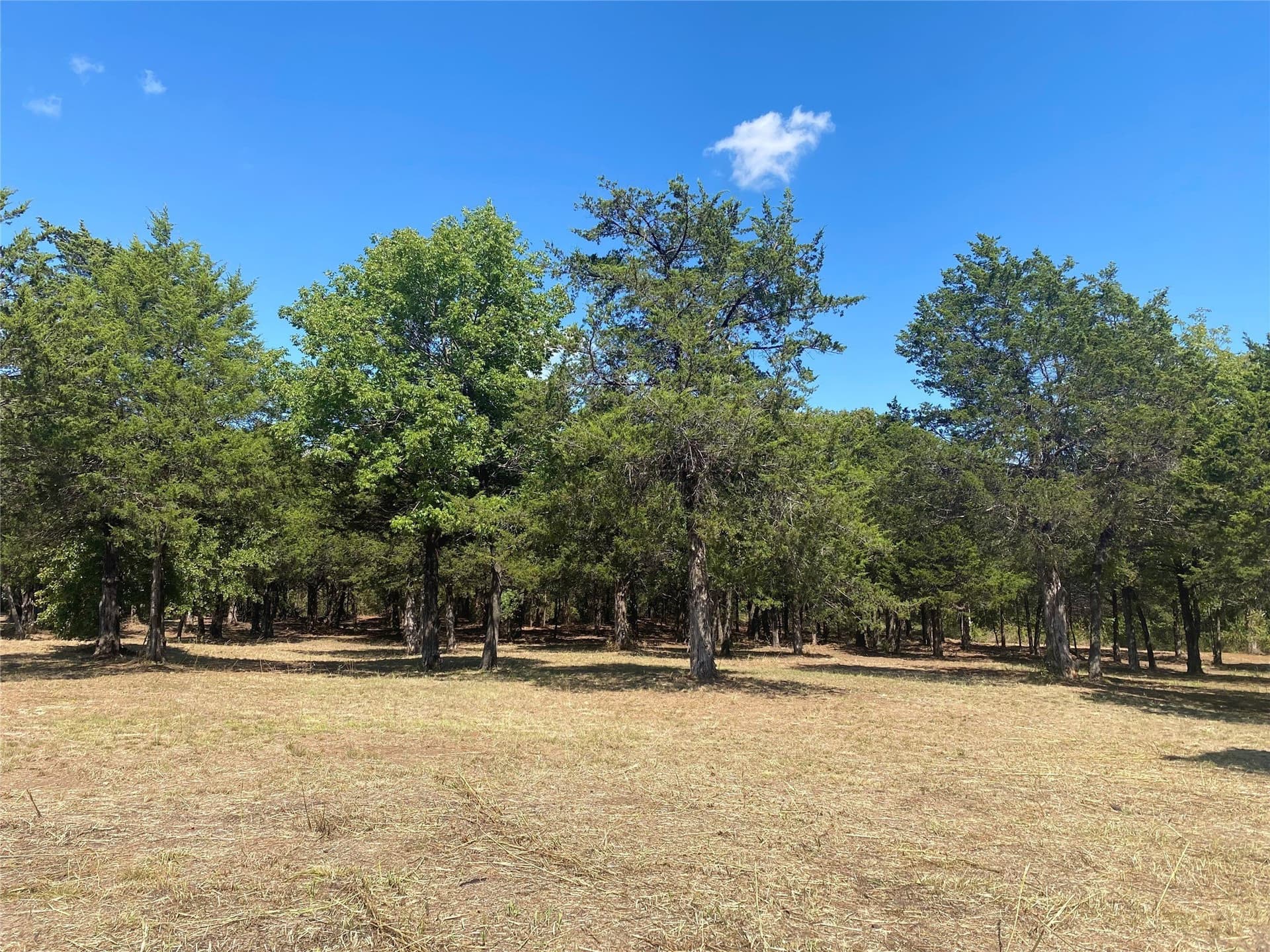 4.05 acres in Grayson County - photo 8