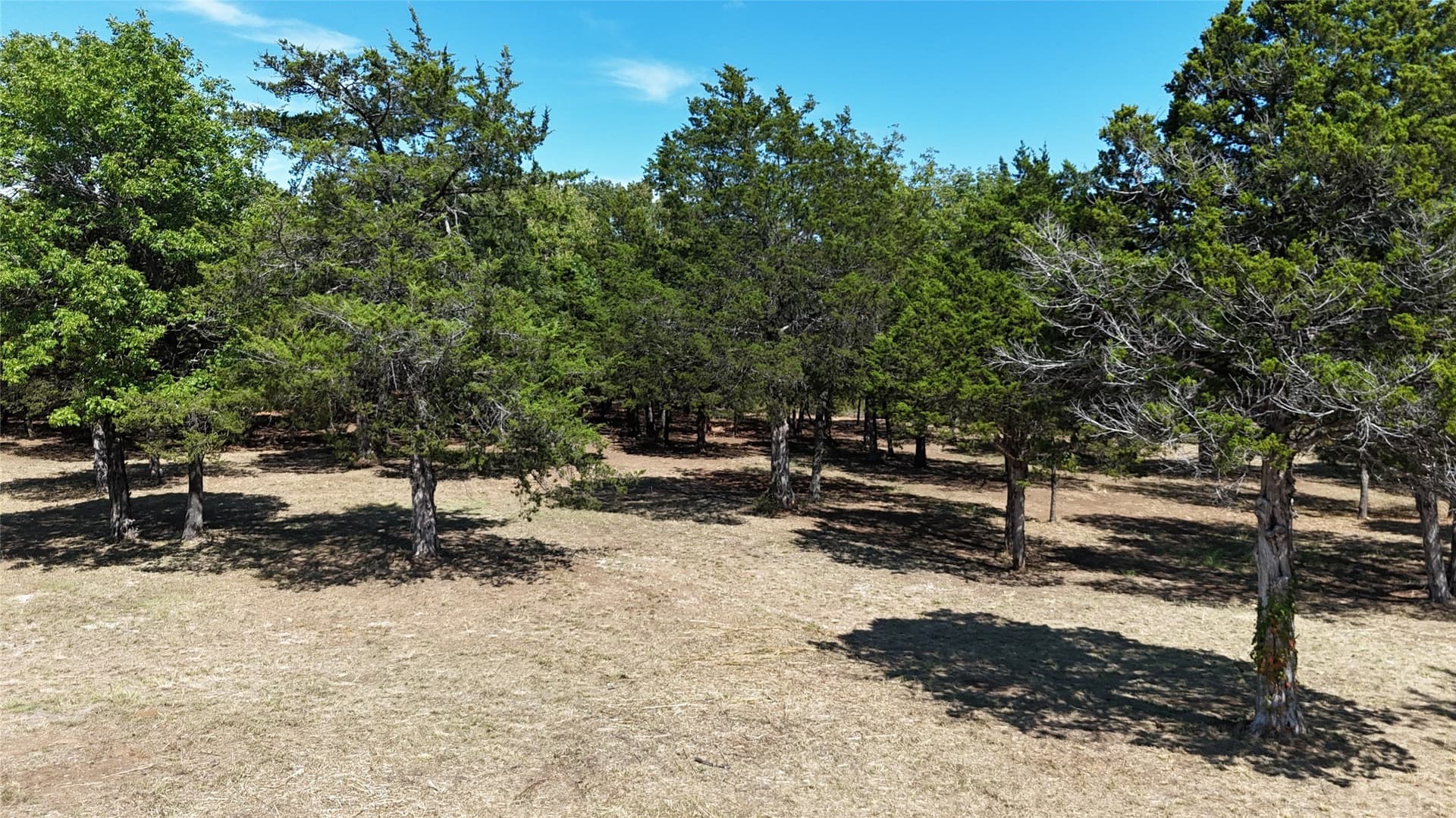 4.05 acres in Grayson County - photo 6