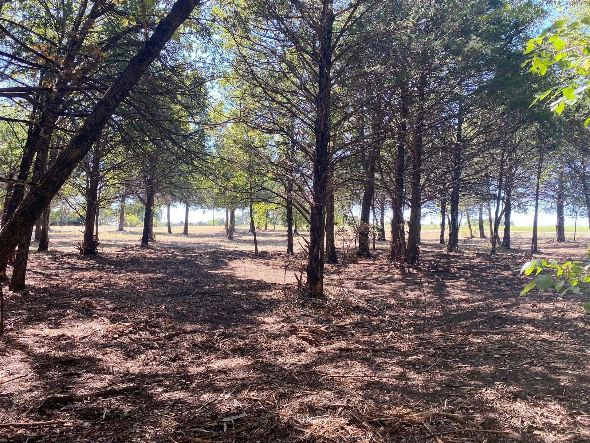 4.05 acres in Grayson County - photo 12