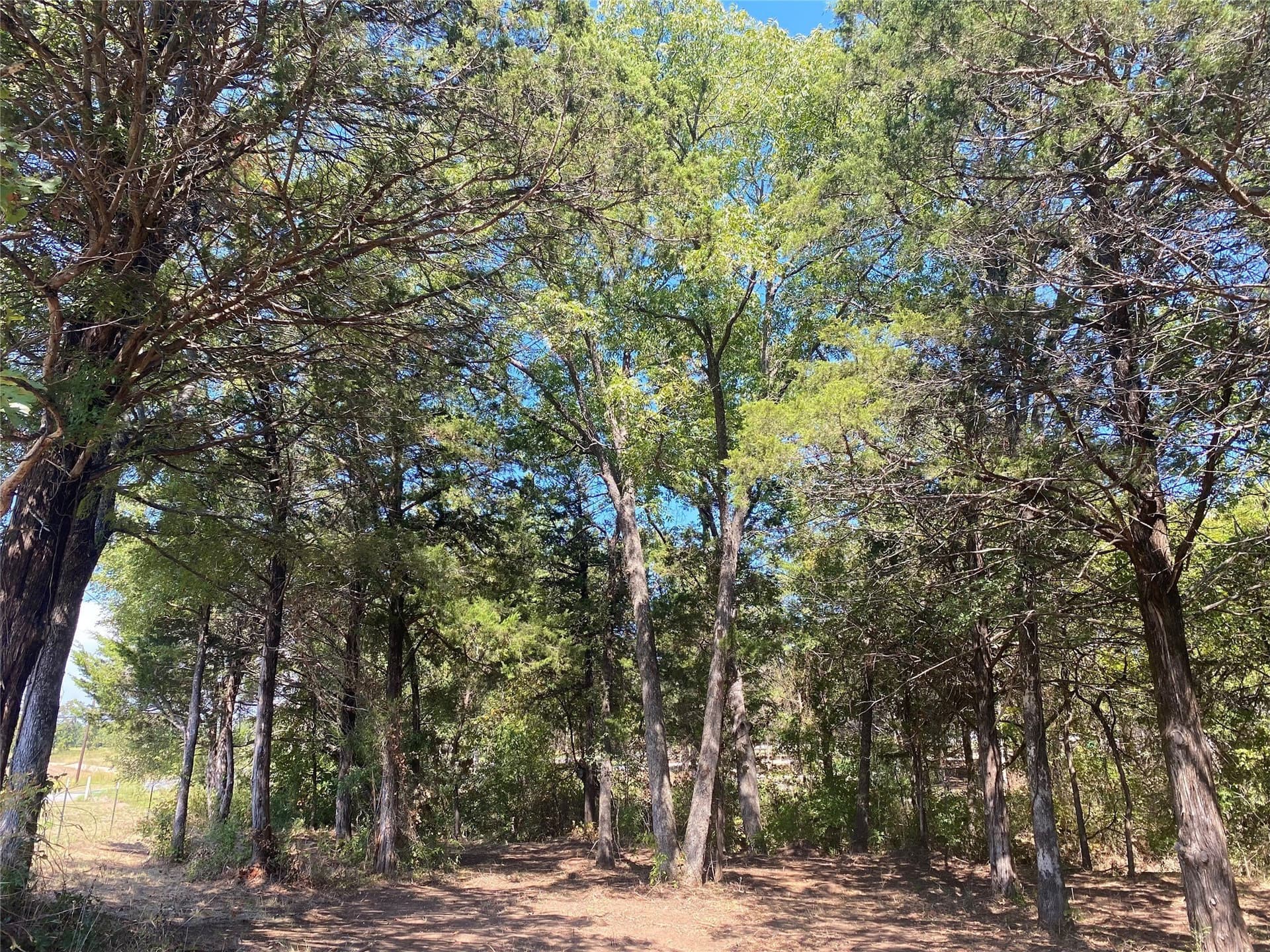 4.05 acres in Grayson County - photo 16