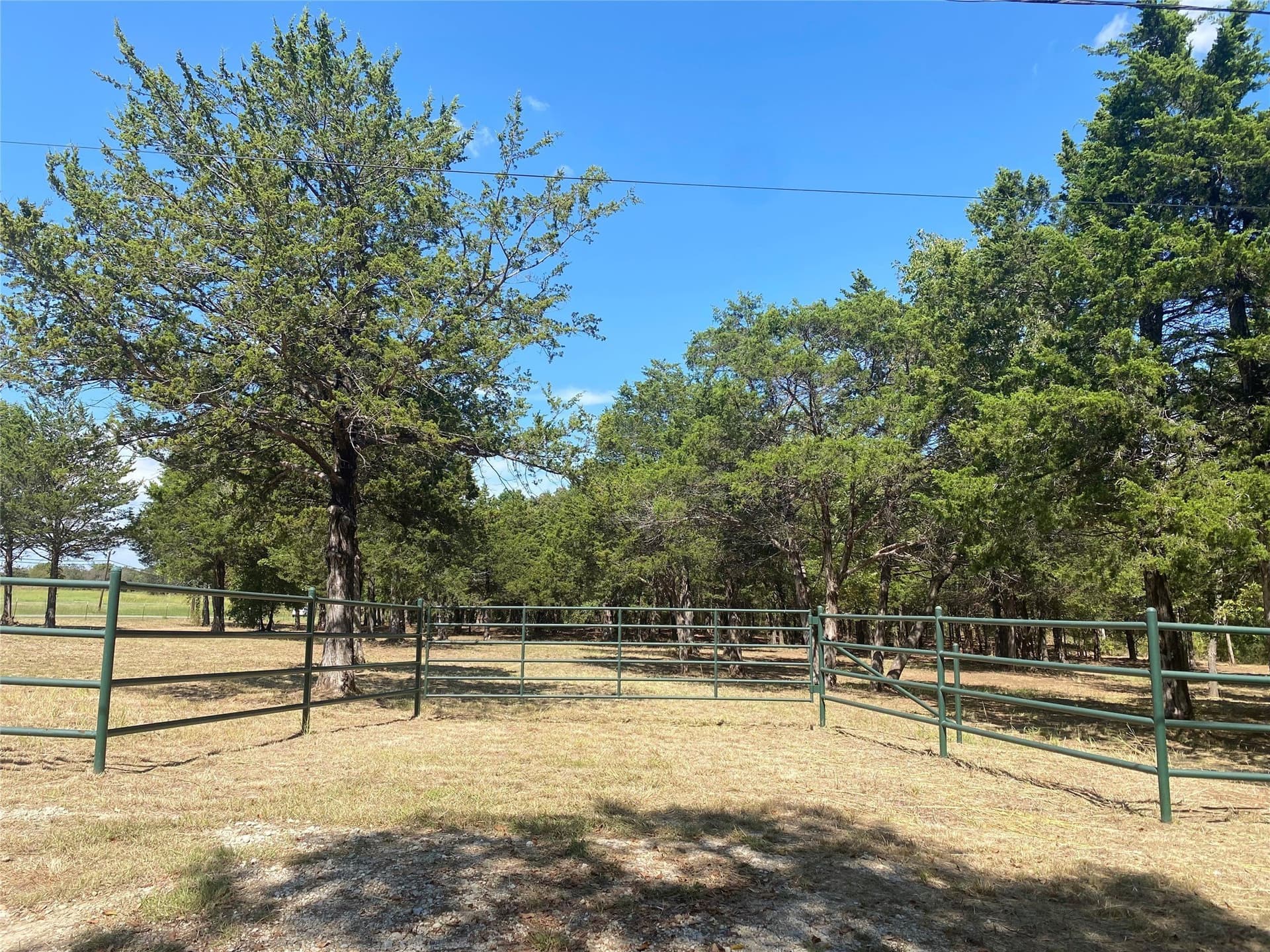 4.05 acres in Grayson County gallery image 3