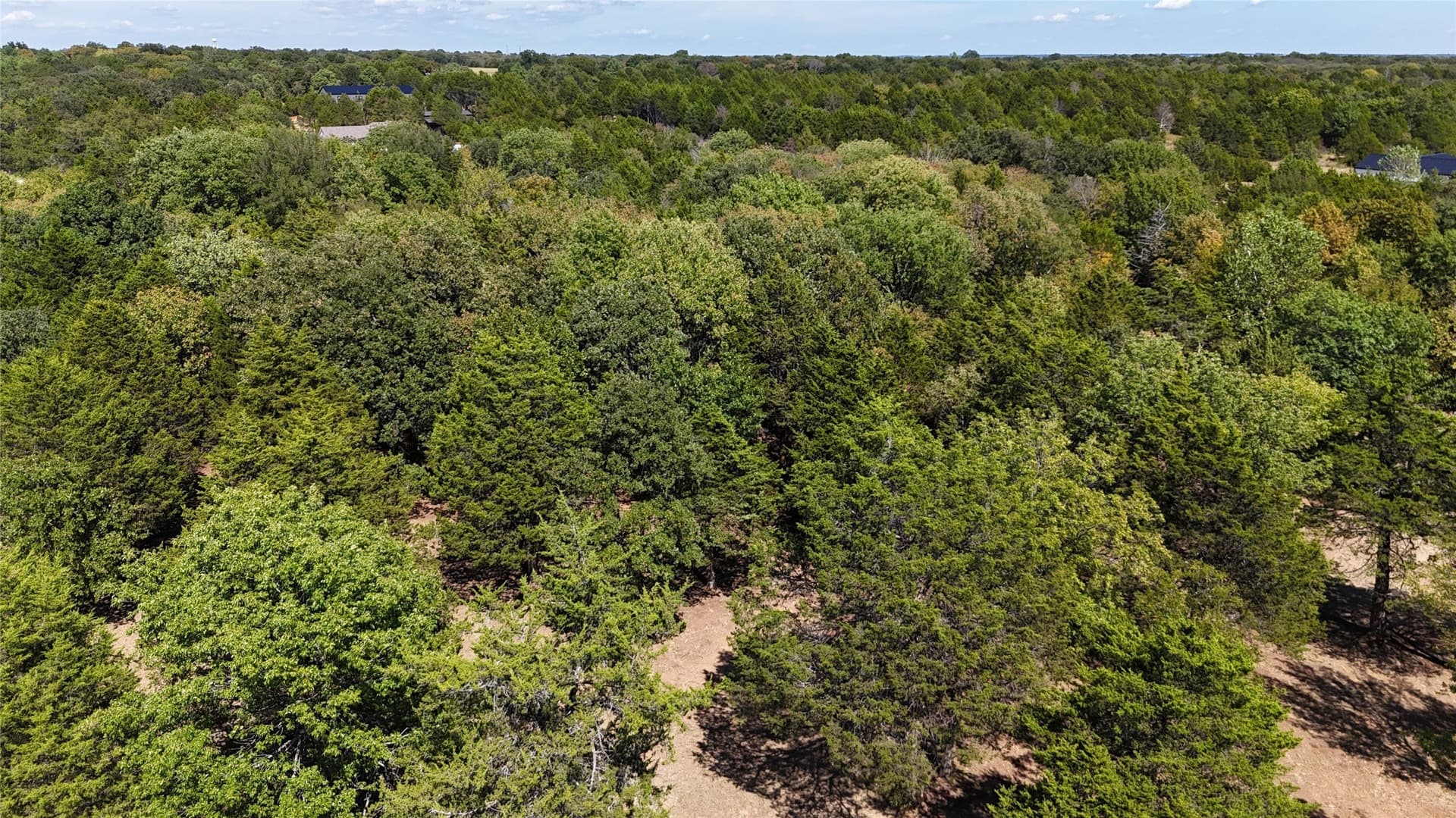4.05 acres in Grayson County featured view