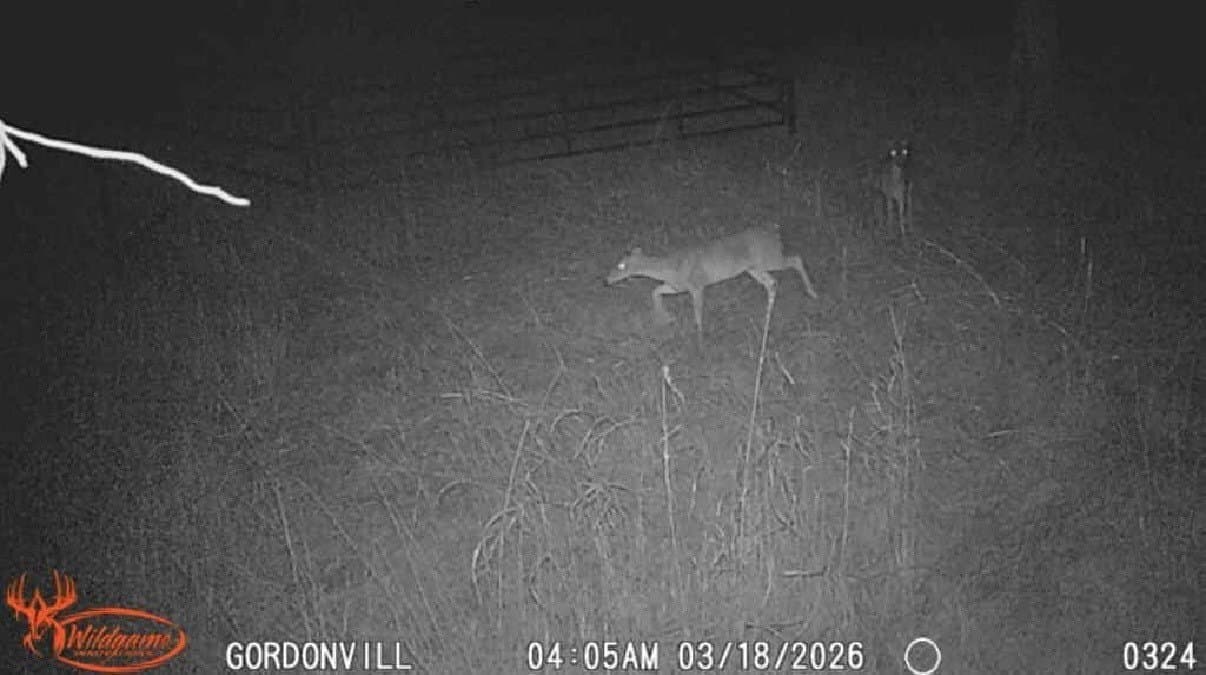 4.05 acres in Grayson County - photo 20