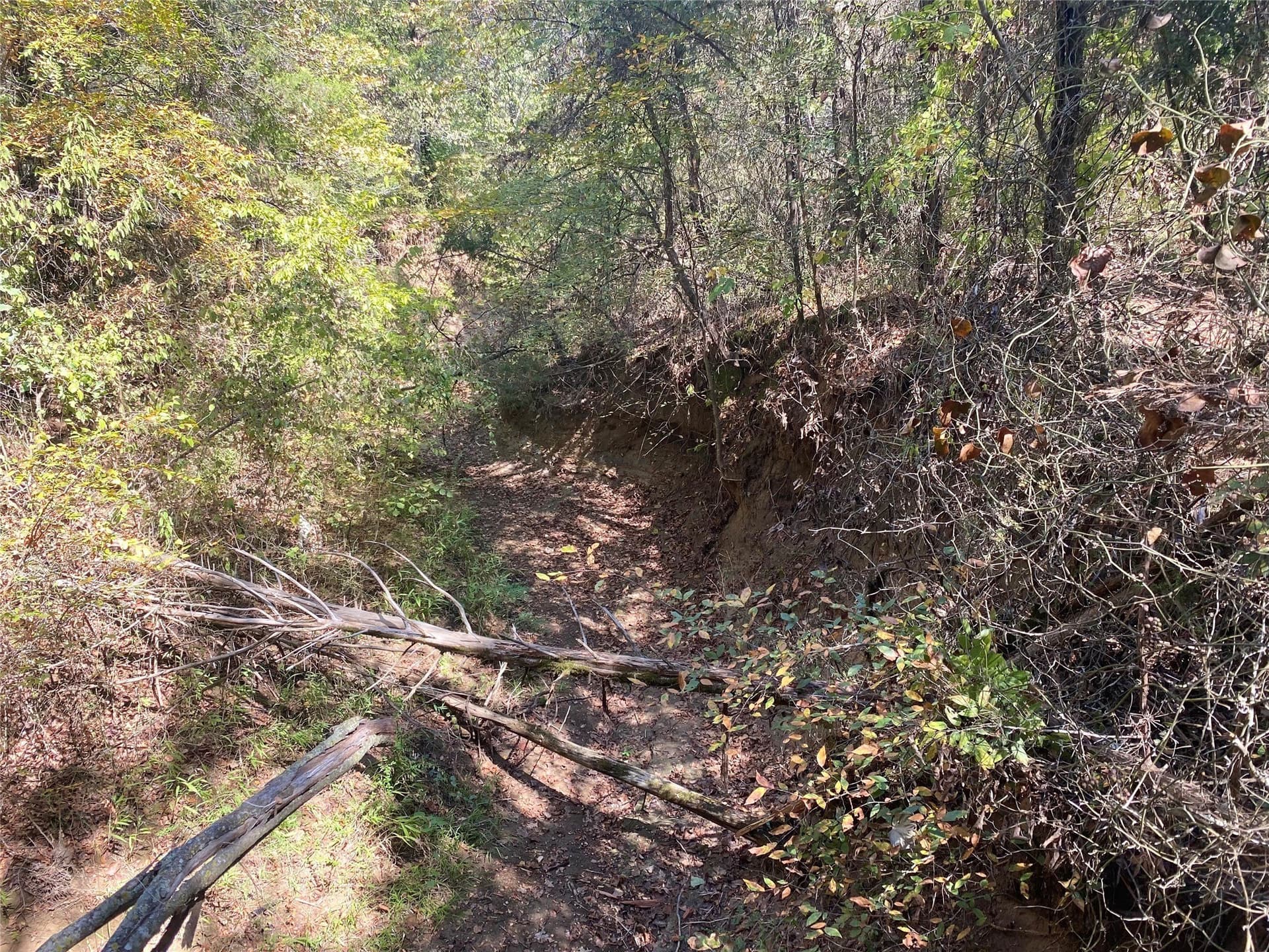 4.05 acres in Grayson County - photo 14