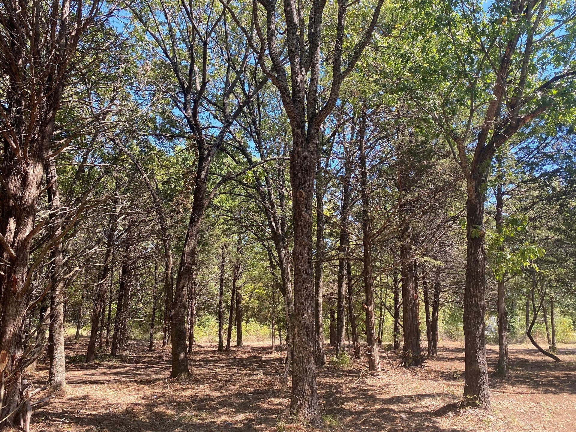 4.05 acres in Grayson County - photo 11