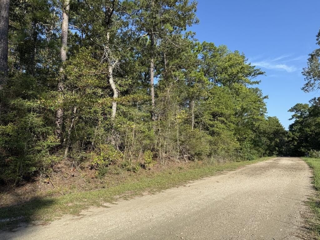 0.31 acres in Texas County