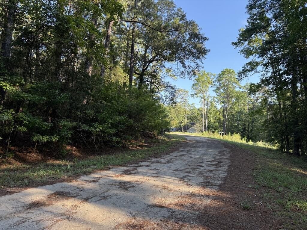 0.31 acres in Texas County - photo 8