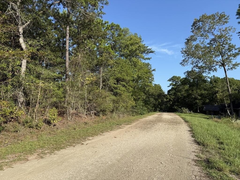0.31 acres in Texas County - photo 2
