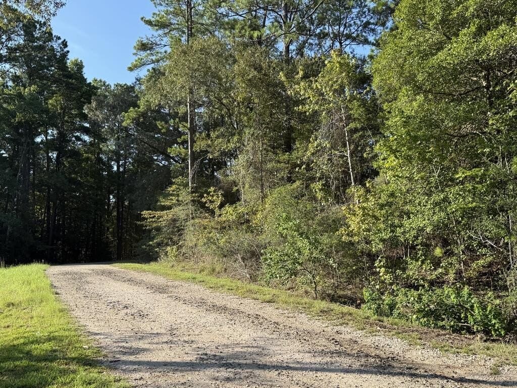 0.31 acres in Texas County - photo 4