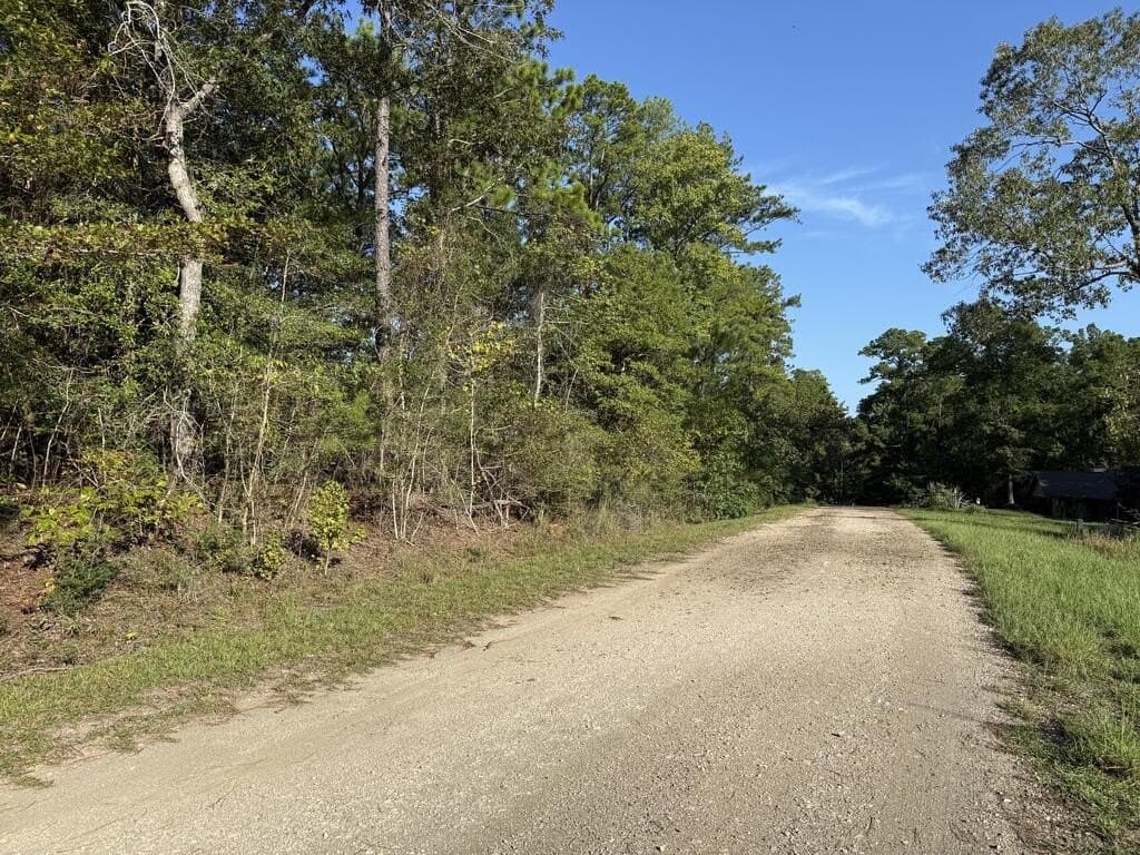0.31 acres in Texas County - photo 7