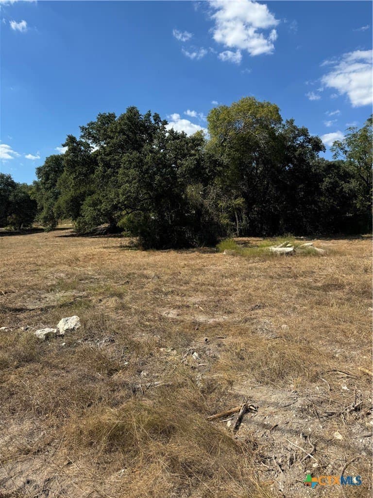 0.66 acres in Bell County gallery image 4