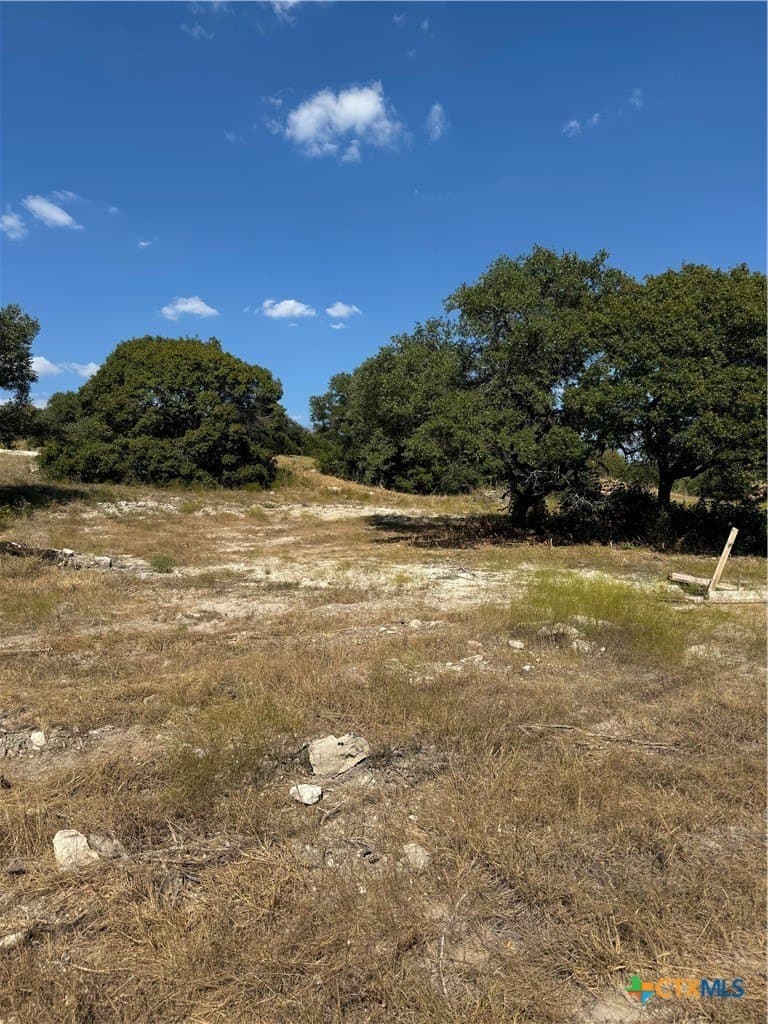 0.66 acres in Bell County gallery image 3
