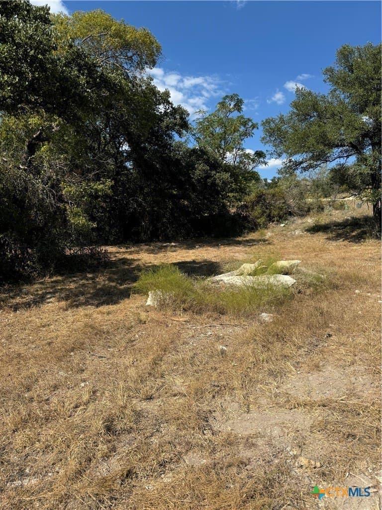 0.66 acres in Bell County gallery image 2