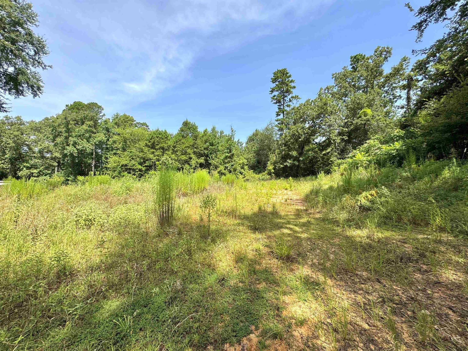 0.38 acres in Upshur County - photo 5