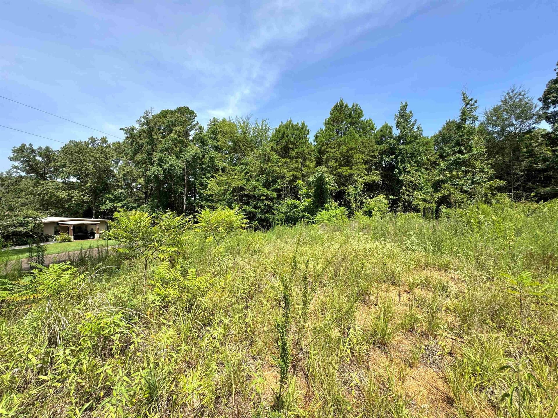 0.38 acres in Upshur County - photo 4