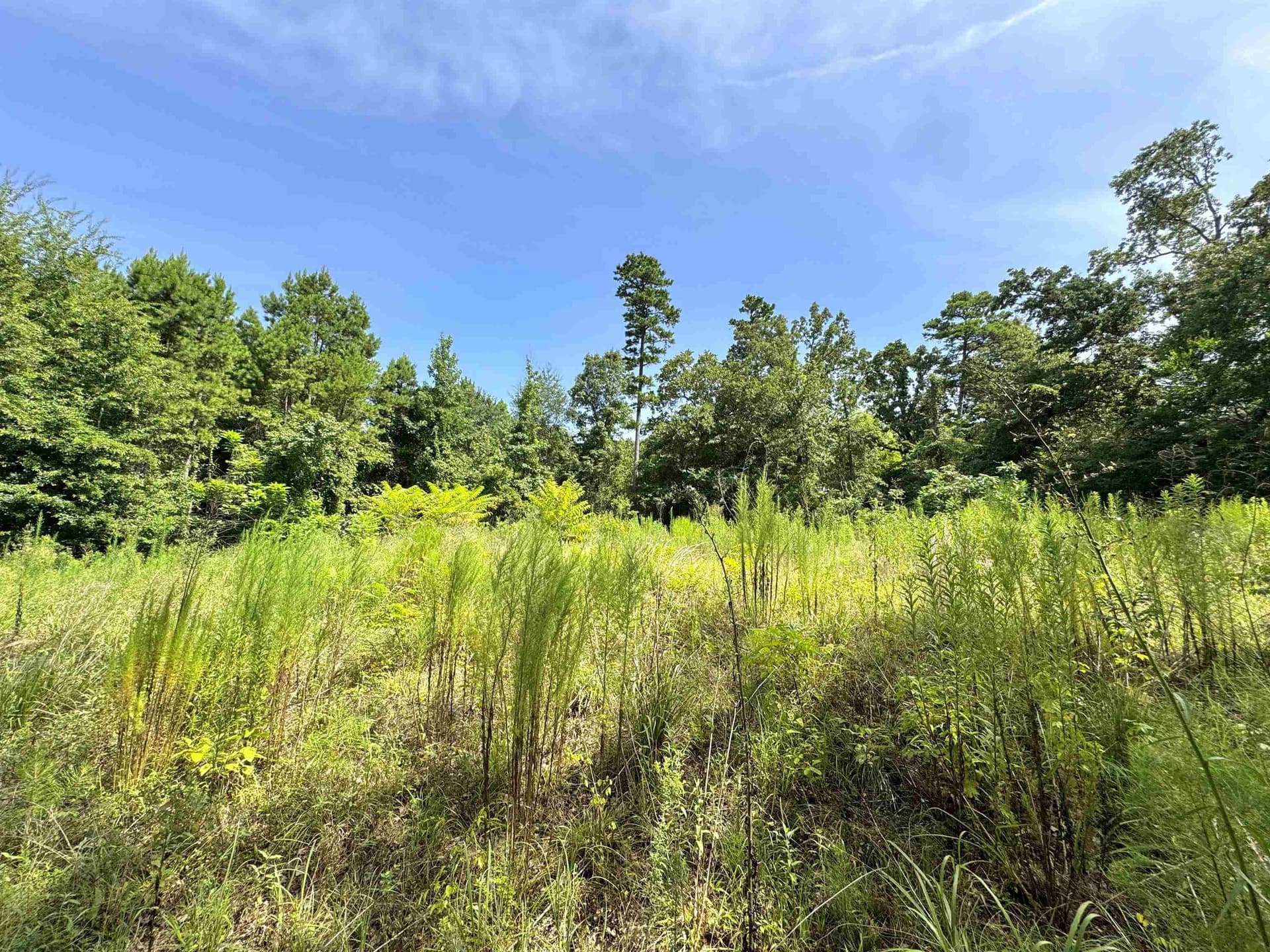 0.38 acres in Upshur County - photo 3