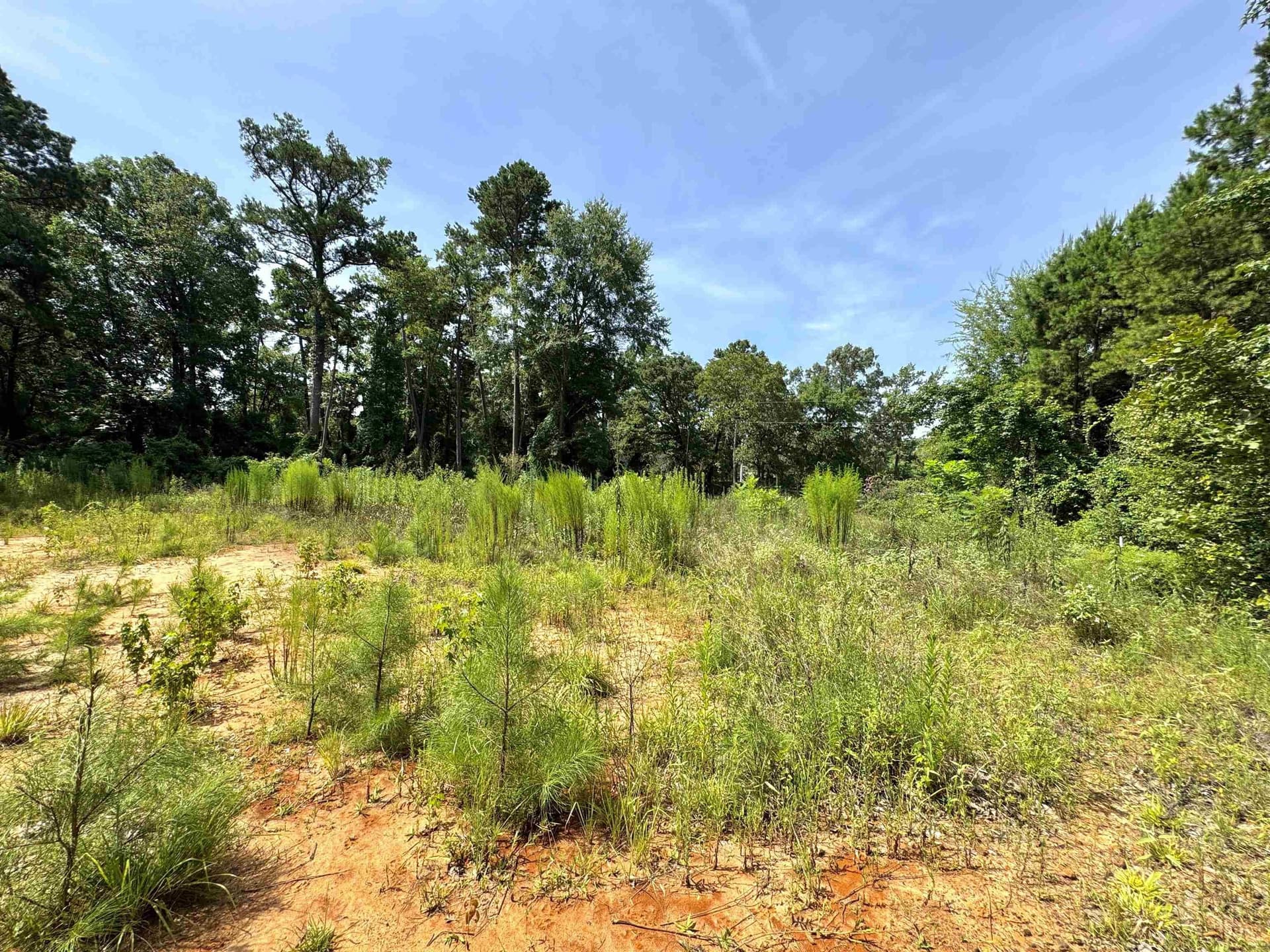 0.38 acres in Upshur County - photo 6