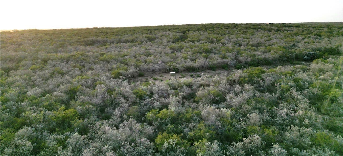 18.03 acres in Duval County gallery image 4